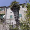 Foto: un particolare dell'edificio rilevato