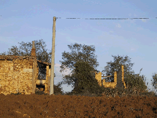 Fotografia dell'edificio
