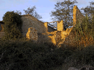 Fotografia dell'edificio