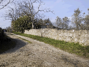 Fotografia dell'edificio