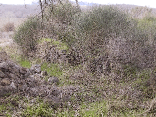 Fotografia dell'edificio