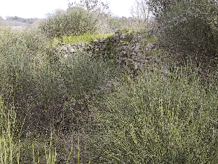 Fotografia dell'edificio