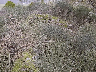Fotografia dell'edificio