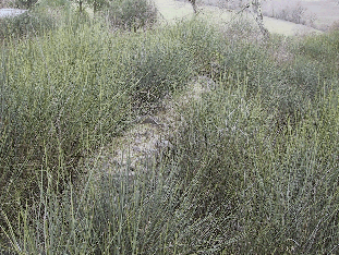 Fotografia dell'edificio